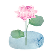 ohmimyoren.png