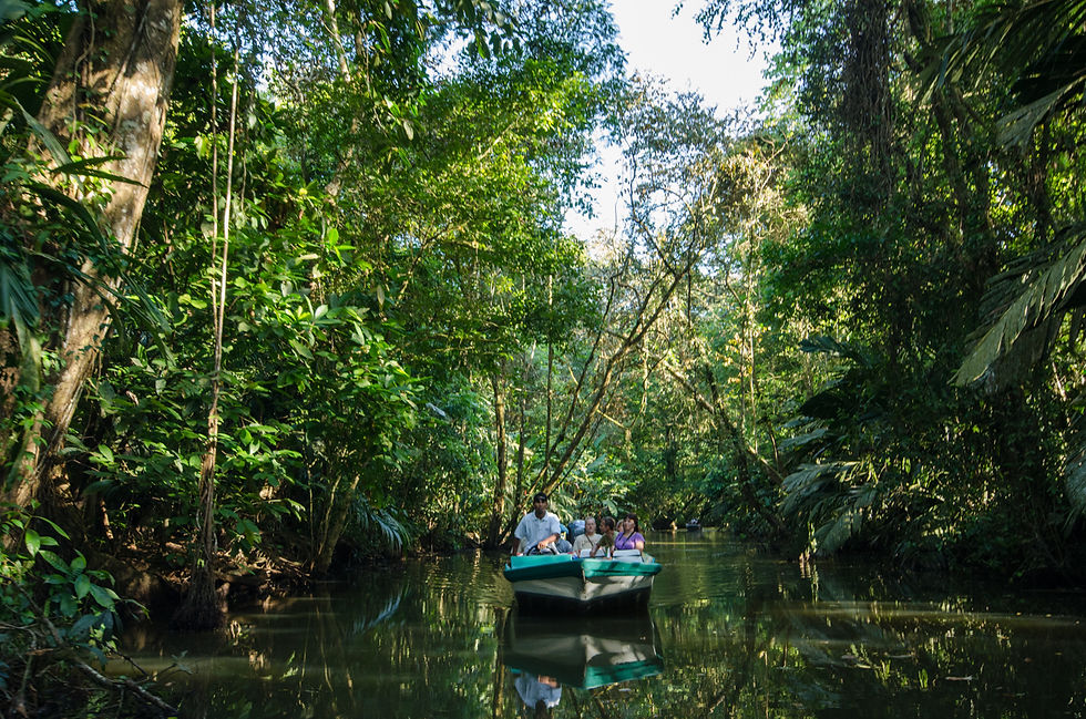 Tortuguero-National-Park-Costa-Rica-3.jpg
