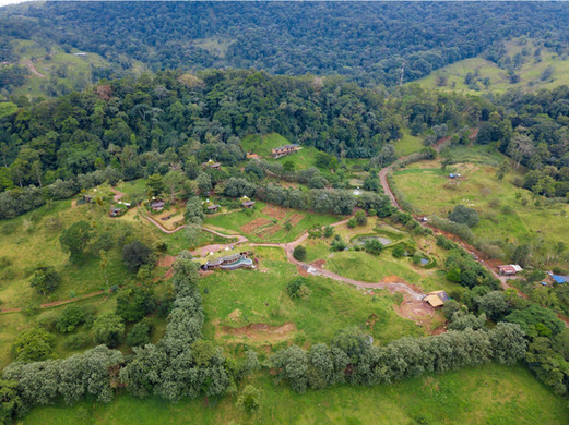 Origins Lodge - Landscape