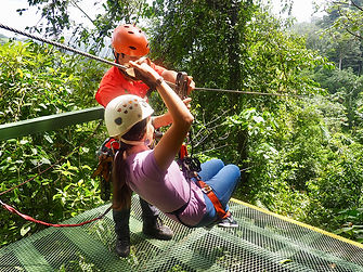 Canopy (2).jpg