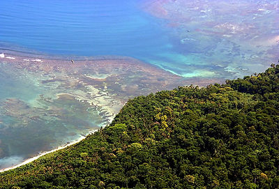 Cahuita parque nacional.jpg
