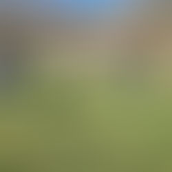 Jahreshauptversammlung 2026