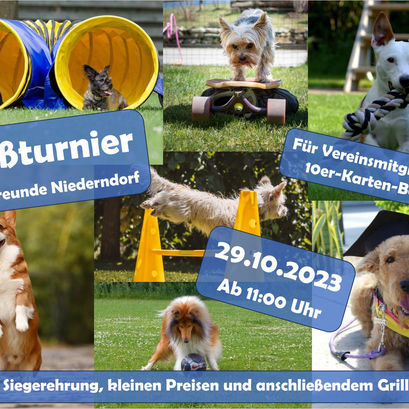 Spaßturnier der Hundefreunde am 29.10.2023