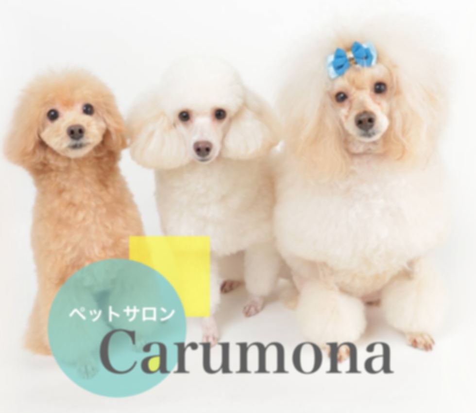 carumona.png