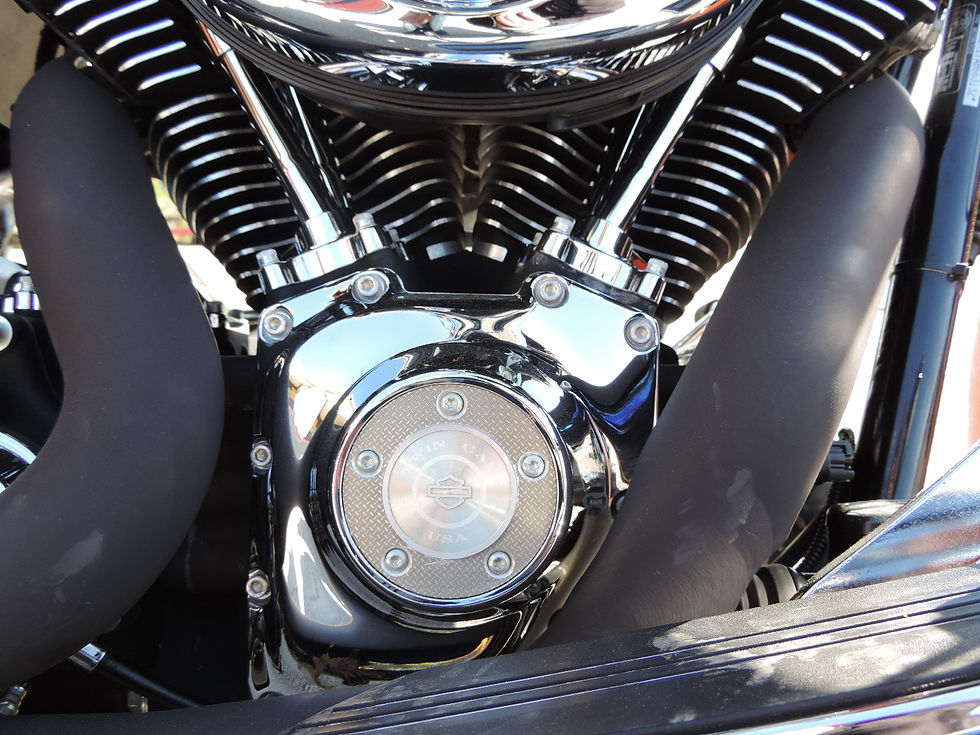 DSCN3501.JPG