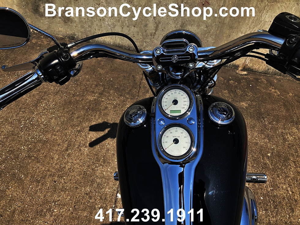 2009 Harley Davidson Dyna Low Rider