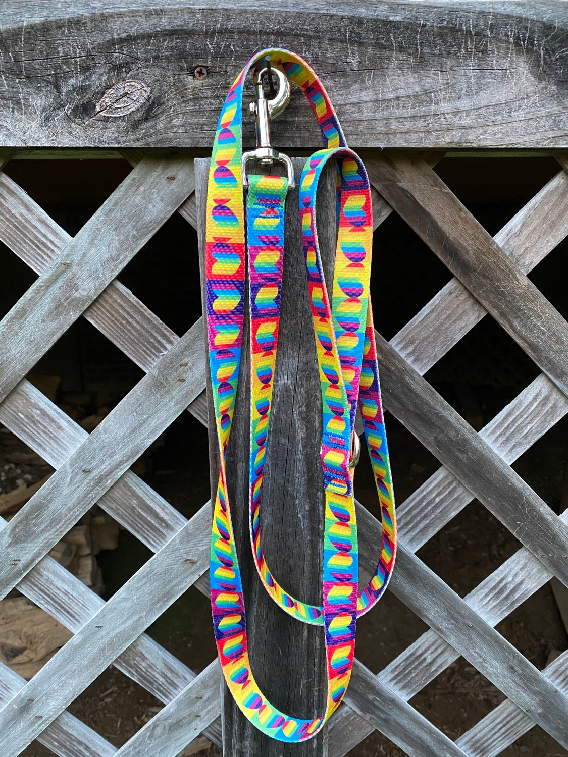 Rainbow Hearts Pet Leash