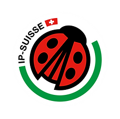 IP-Suisse.png
