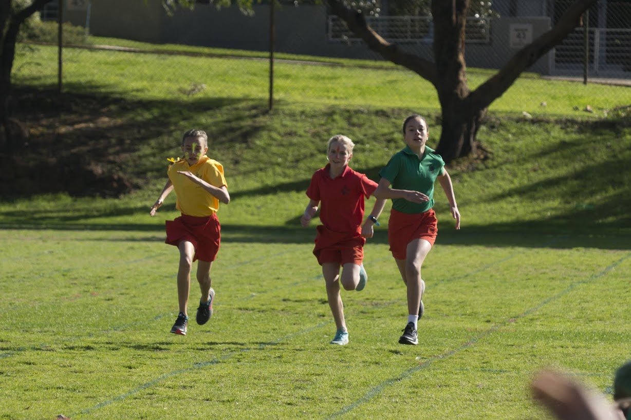 Innovative Future Focused Hollywood Primary School Nedlands