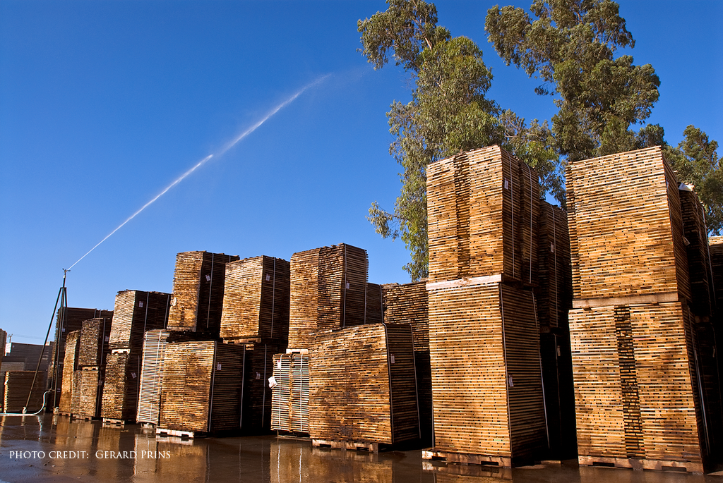 1024px-Toneleria-nacional-wood-yard