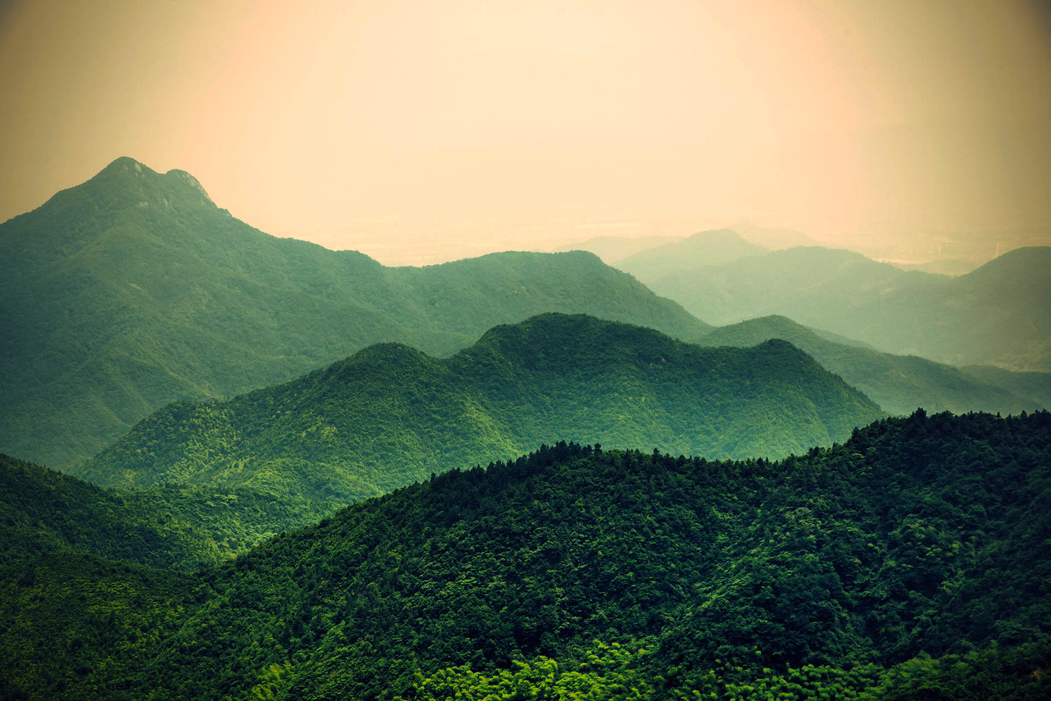 Edited Image 2016-02-02 08-08-48