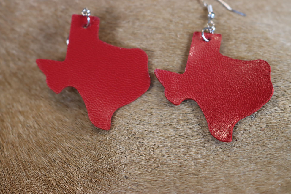 Thumbnail: State of Texas Earrings