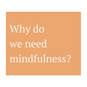 whymindful.png