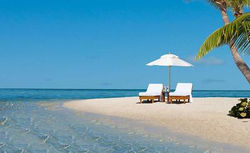 littlepalm1_9