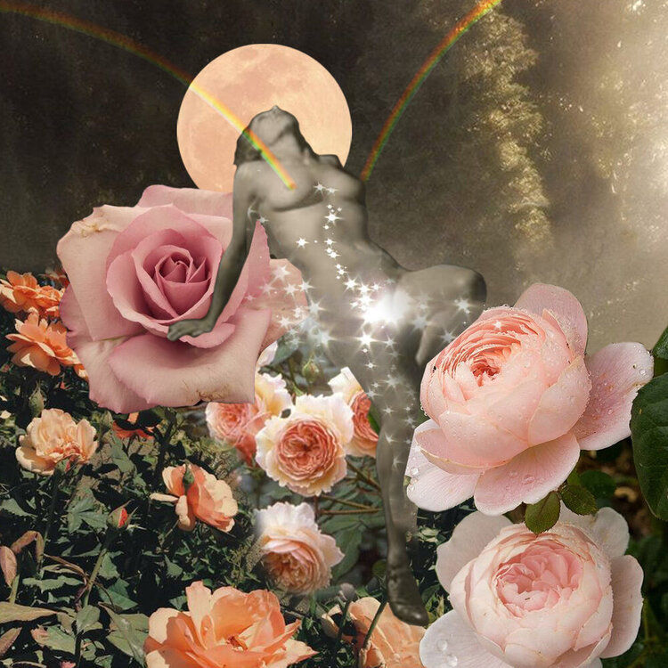 The Divine Rose-Flower of the Heart