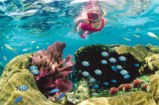 Sundiver_Snorkel_Tours_Key_Largo