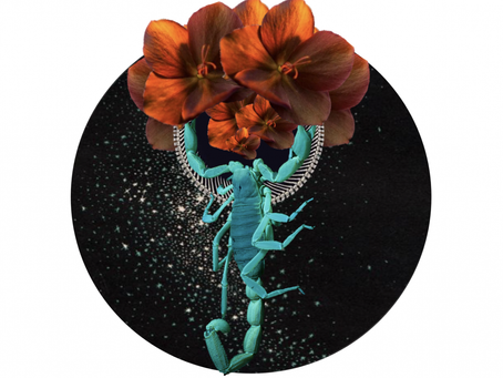 New Moon Magick