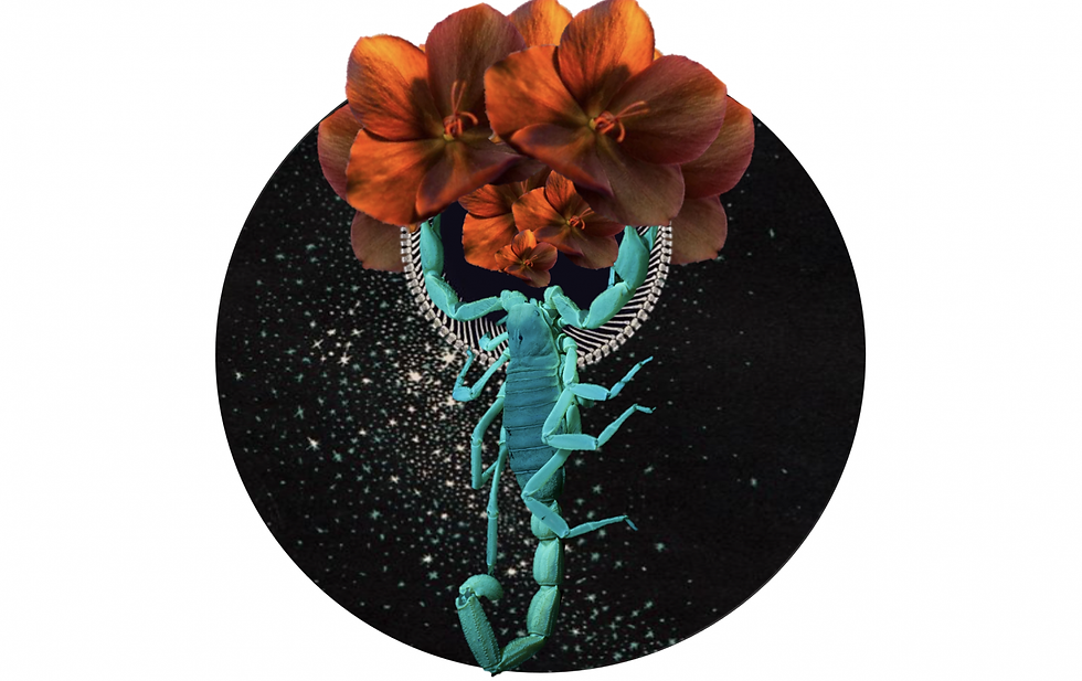 New Moon Magick