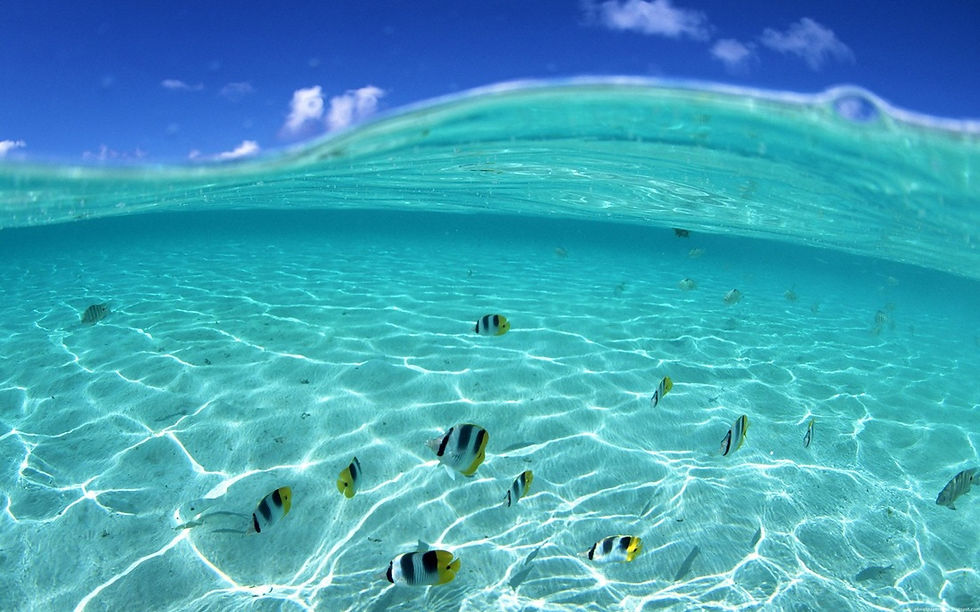 keysfish