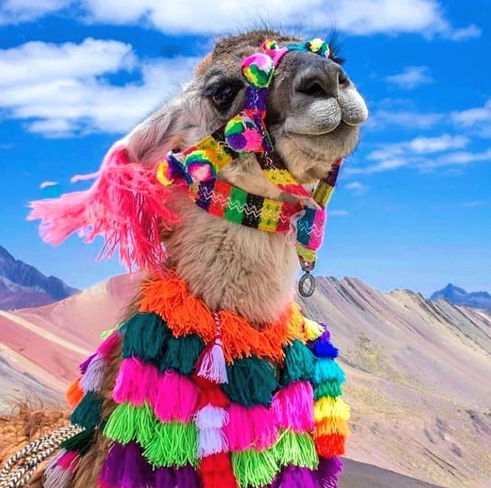 peru30