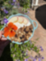 Thumbnail: Organic, Nut Free Cinnamon Raisin Granola