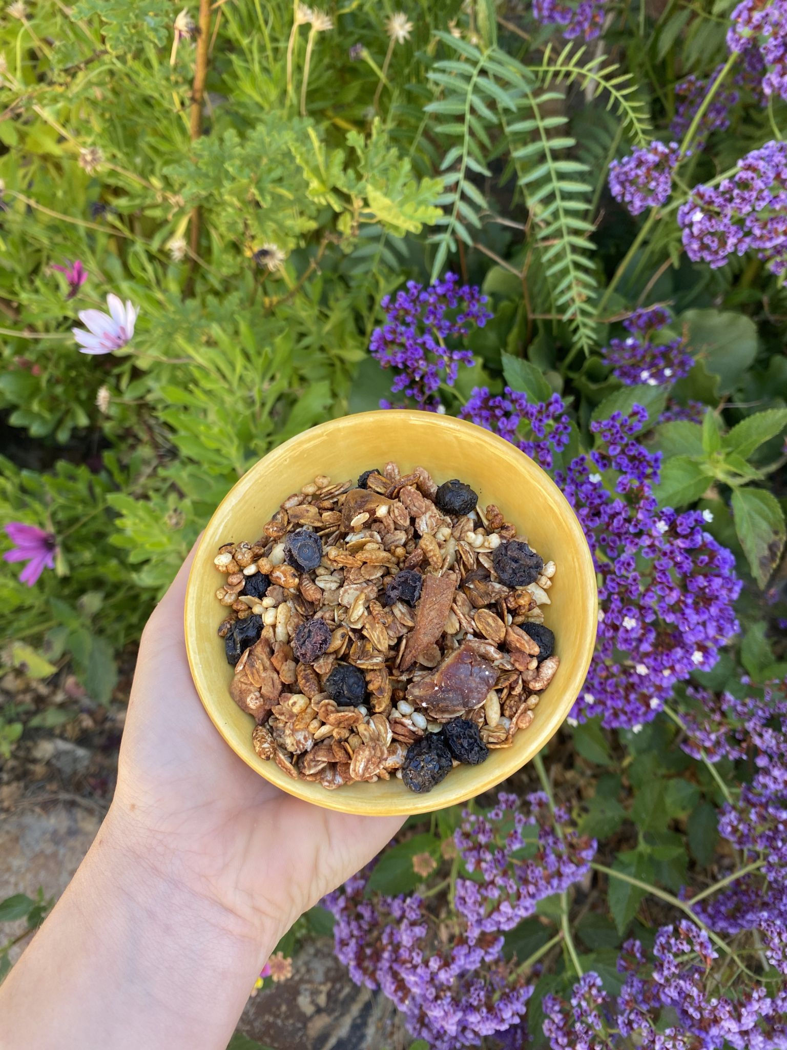 Organic, Nut Free Dried Fruit Granola