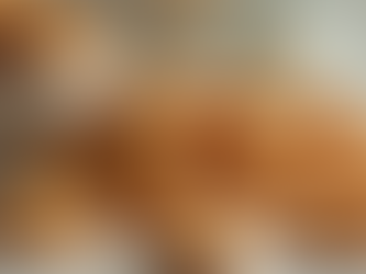 Explore Nulish: Your Source for Nut-Free Products