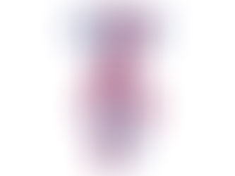 Titan Band & Color Guard