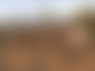 What do the Wild West and Social Media Have in Common?