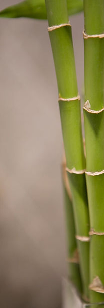 Massage Policies at Integrative Humancare
