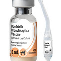 5_01 RECOMBITEK® Oral Bordetella.jpg