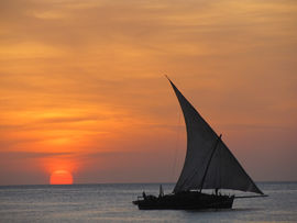 Zanzibar - Tanzanie - Novembre 2013