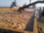 IMG00145-20101209-0853.jpg