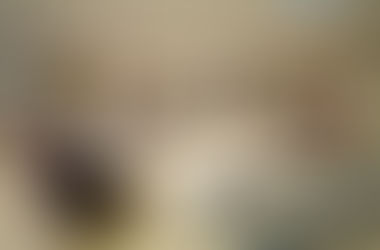 20ª Sessão Ordinária do Poder Legislativo Municipal