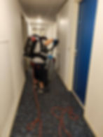 242259469_1262390350889127_5607277792069689472_n.jpg
