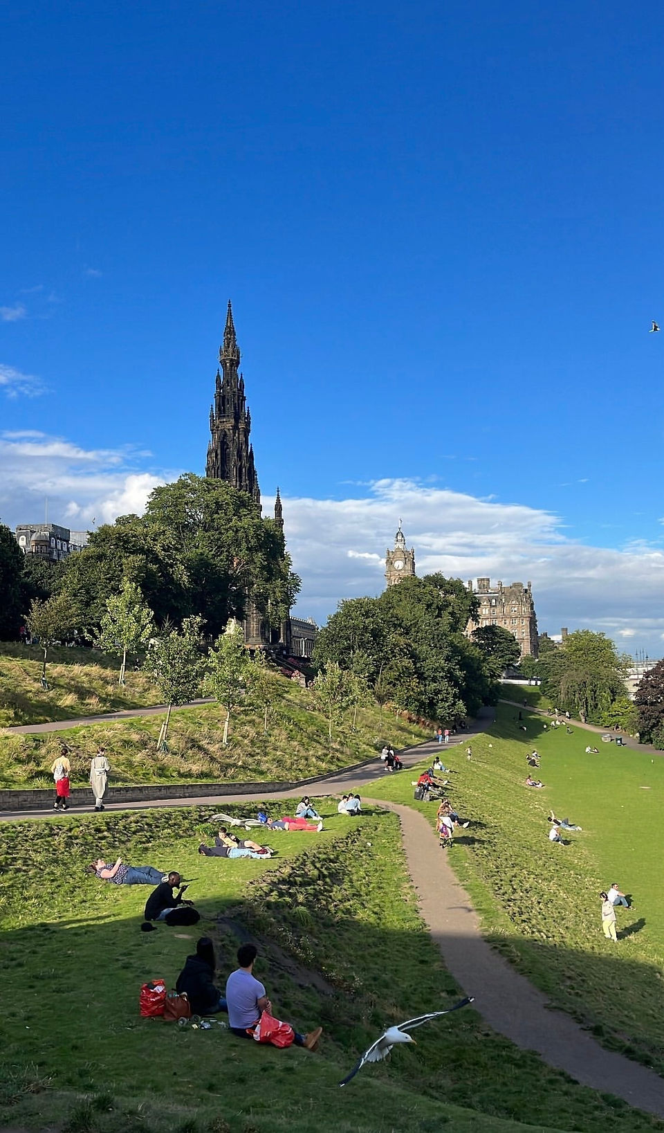 Scenic view from The Scottish Café & Restaurant in Edinburgh, overlooking the city streets.