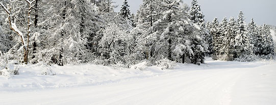 canada (14).jpg
