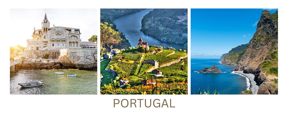 Copy of CAMINO copy 2.jpg