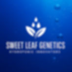 New Logo