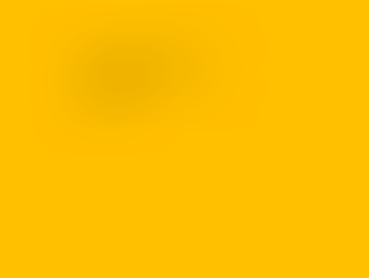 Insights from CIO - 3Q24