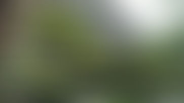 Purchase: Hilltop @ Cairnhill Circle