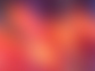 Asia open: The bullish mood is undeniable