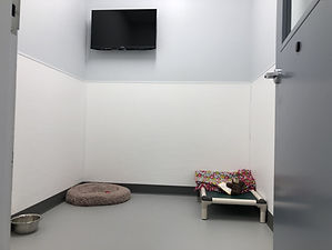 IMG_6393.jpg