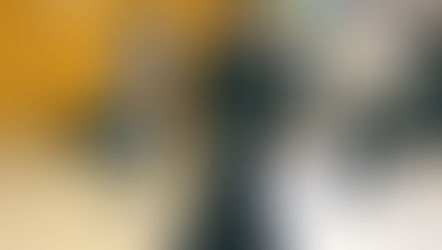 A Warrior’s Path: Learning Kendo in the Heart of Japan – a student perspective