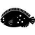 catego6.gif