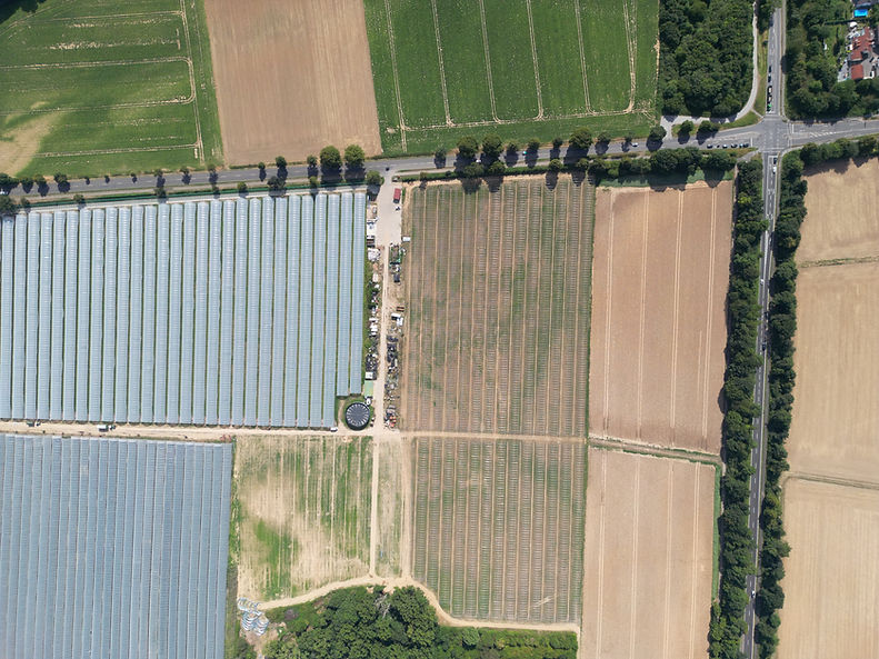 DJI_0473.JPG