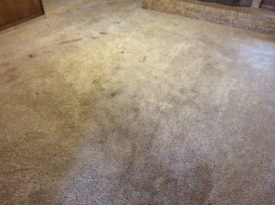 Carpet Cleaning Services Lubbock TX ASteam Carpet Care