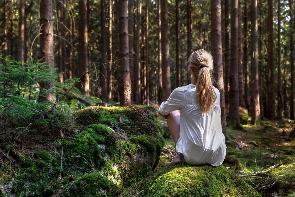 Rewild, connect mindfully to nature.