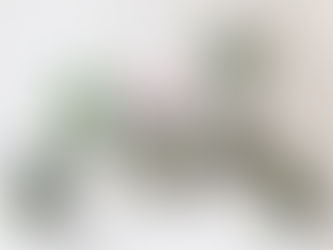 Konumuz Kokedama! Peki Kokedama' ya Nasıl Bakılır?