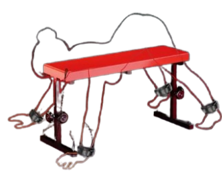 The Brat Tamer Bench